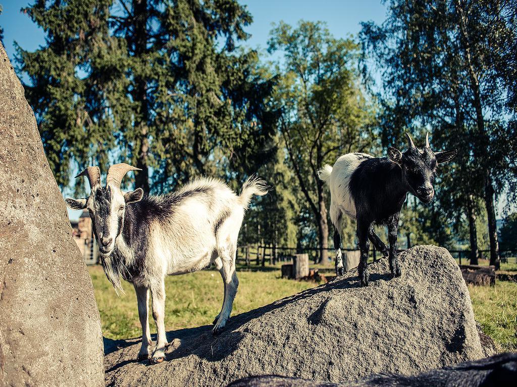 Pension Dymník Rumburk Exteriér fotografie