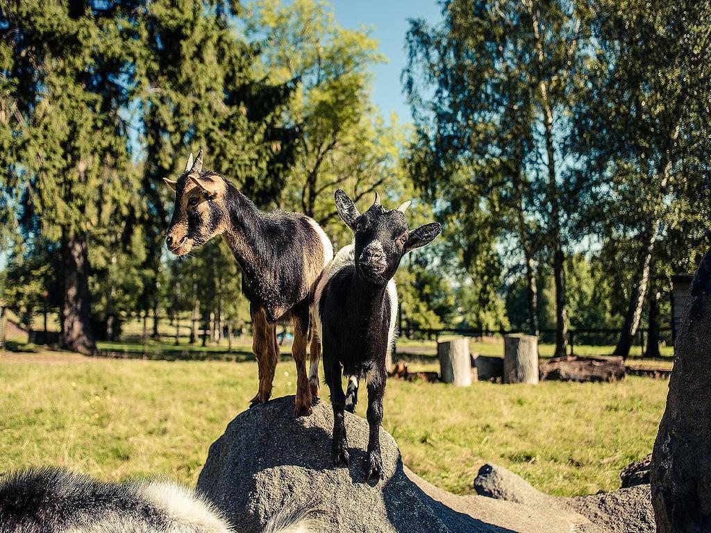 Pension Dymník Rumburk Exteriér fotografie